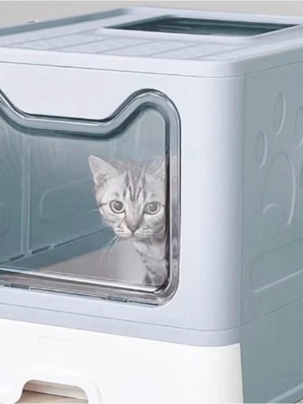 Cat Litter Box Enclosed